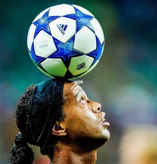 仅获得了一 仅获得了一