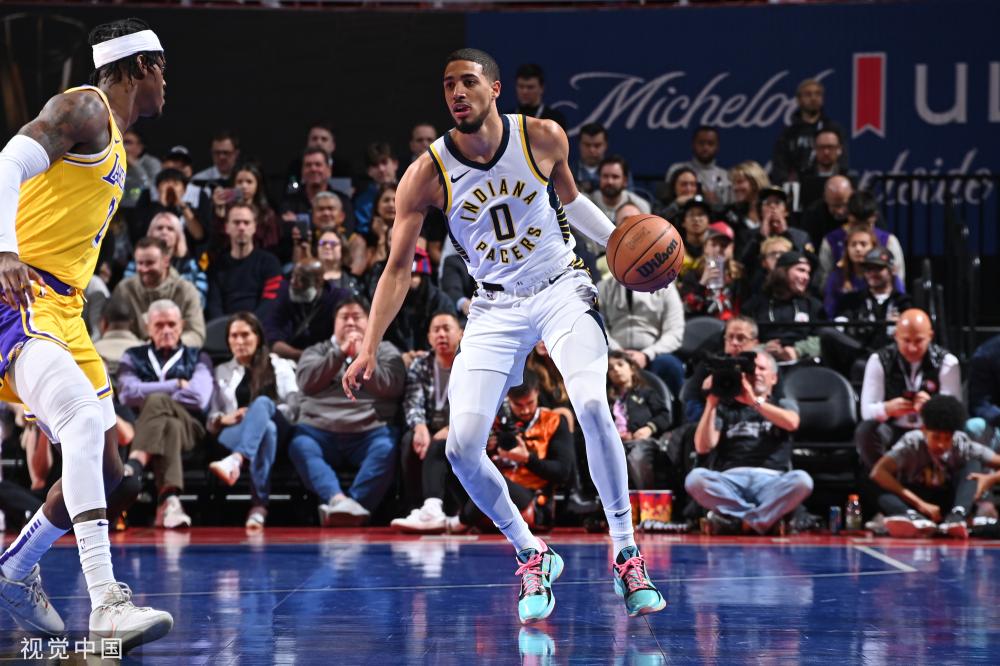 橄榄枝时 橄榄枝时