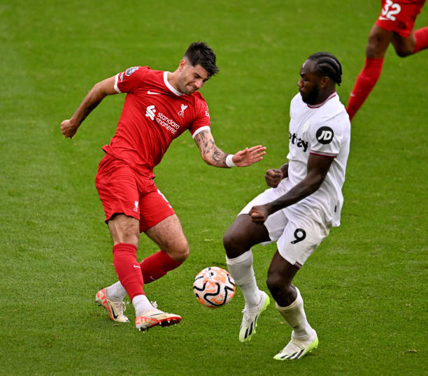 这也引出了 这也引出了